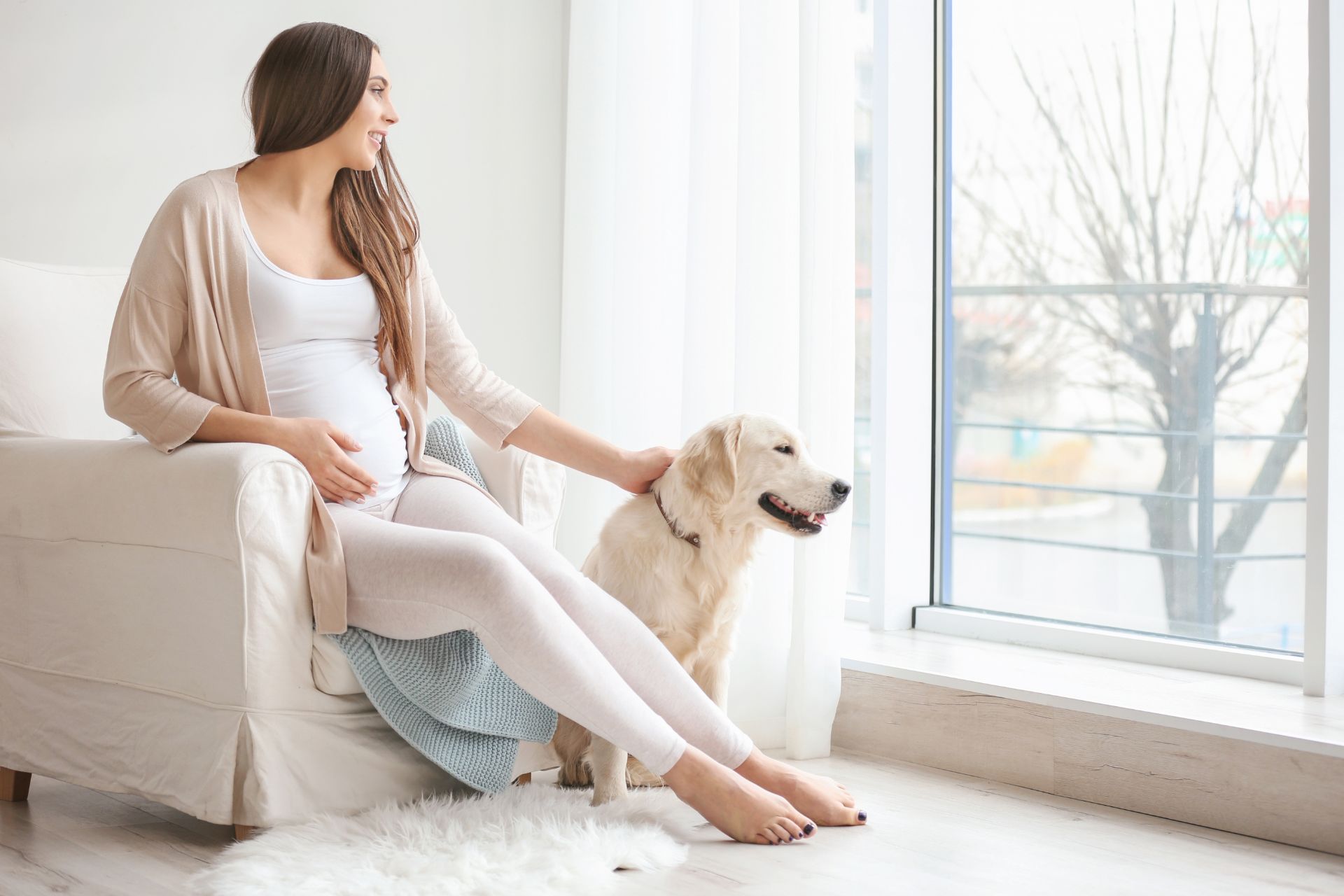 Κατοικίδια και Εγκυμοσύνη: Μέτρα Προφύλαξης